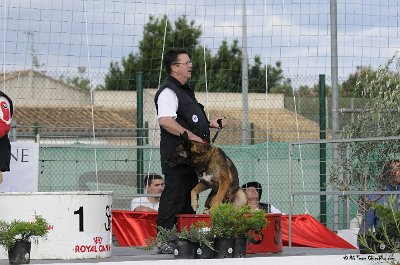 Remise des Prix 198.JPG - CHIENPLUS.COM